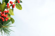 Photo: winter background winter background