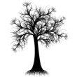 Vektor: Art tree silhouette Art tree silhouette