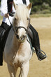 Equitation
