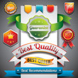 Vector set of labels and badges illustration