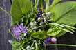 Flavors Of Herbs