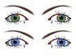 Human_Eyes