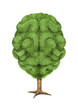 Think green
