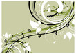 Vektor: Abstract floral background Abstract floral background