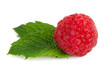 Ripe red raspberry