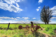 Grassland landscape with beautiful clouds