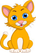cute cat cartoon expression