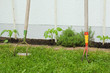 Foto: Gartenarbeit Gartenarbeit
