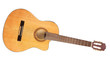 The image of a guitar