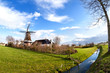 charming Dutch windmill on grassland