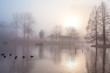 misty morning in autumn park