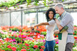 Female customer choosing flowers in a greenhouse