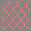 Neon Metallic net (orange and pink)