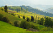 Spring landscape in the Carpathian mountains
