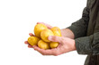 Photo: Farmer holding potato Farmer holding potato