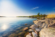 Coastline with boulders and trees