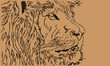leone