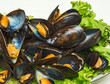 Steamed Mussels