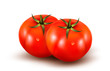 Tomatoes isolated on on white background. Photo-realistic vector