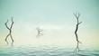 River with old trees and fog loop
