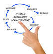 human resource management