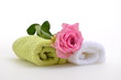 Wellness Rose Handtücher