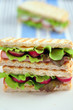 Sandwich mit Radieschen und Salat