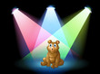 A bear sitting at the center of the stage with spotlights