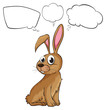 A brown bunny with empty callouts