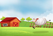 A sheep jumping in front of a barn