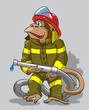 Monkey -  fireman