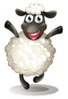 A happy sheep