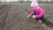 The little girl put the plant into the ground.