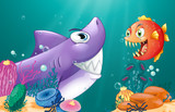 A shark and a piranha under the sea
