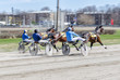 Harness racing.