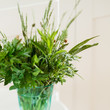 Summer grass in a glass