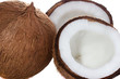 Coconut. Coco Nut isolated on white Background
