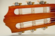 Photo: guitar fingerboard guitar fingerboard