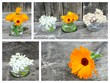 montage, soucis , bio