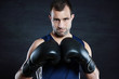 Boxer