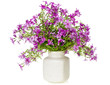 Gentle pinc organic