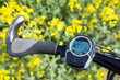 e-bike, pedelec, windrad, raps, öko
