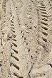 Tire Tracks in Sand Abstract