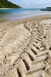 Tire Tracks in Sand 2