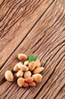 Almond nuts with leaves.