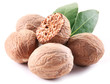Photo: Nutmeg with leaves. Nutmeg with leaves.