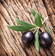 Photo: Ripe black olives with leaves. Ripe black olives with leaves.