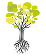 arbre réseau