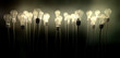 Light Bulbs Aiming Skyward With Eerie Glow