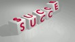 Success falling into place